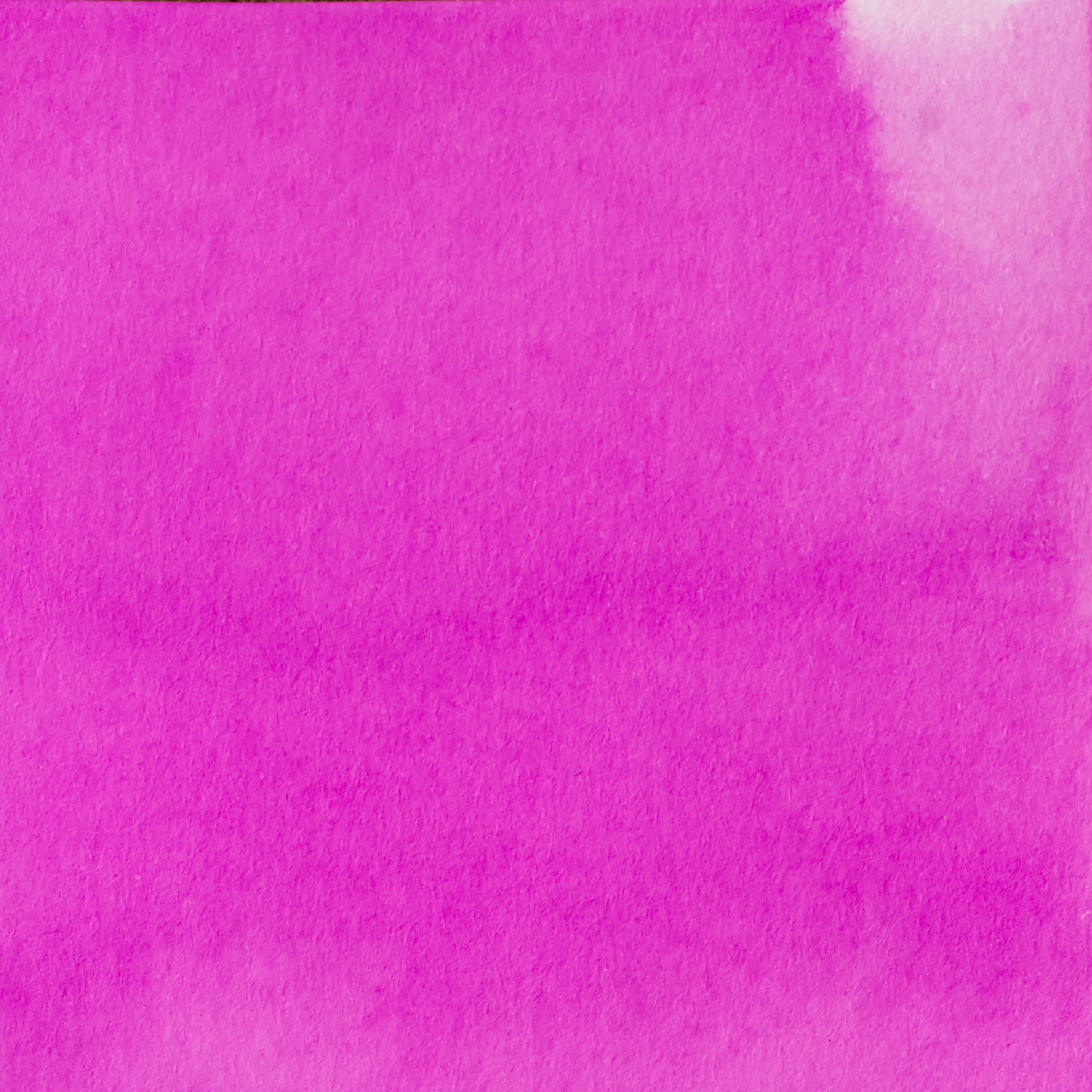 Pennonia Abigail 60ml - Fluorescent