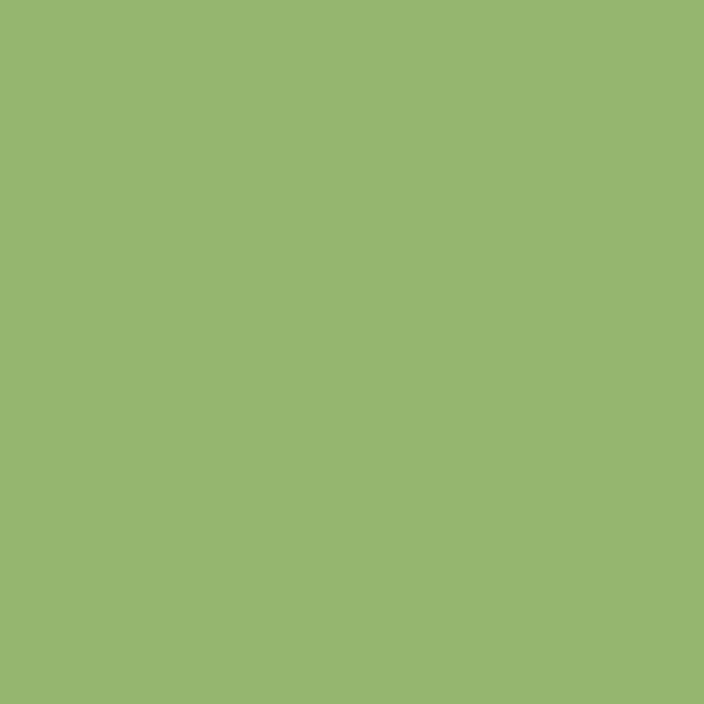 Octopus Fluids Matcha 30ml