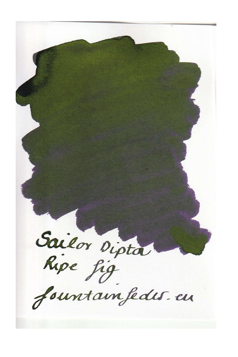 Sailor Dipton Ink - Ripe Fig Ink Sample 2ml