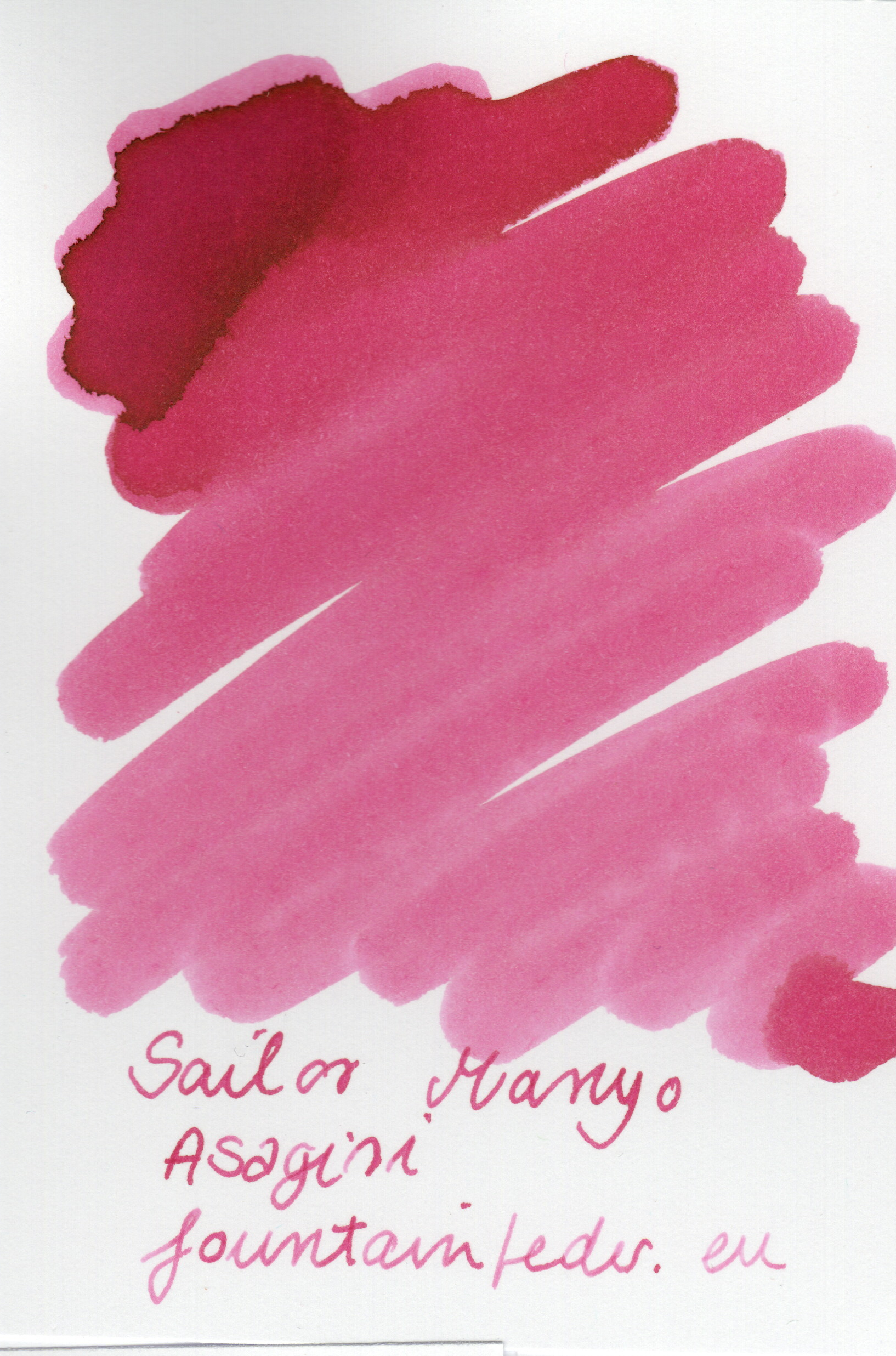 Sailor Manyo Limited - Asagiri Ink Sample 2ml 