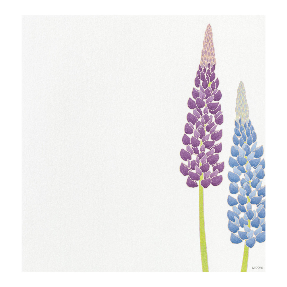 Midori Seasonal Stationery - Summer Flowers
